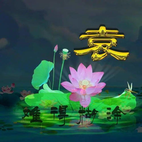  给自己换一次微信头像,人生难得糊涂