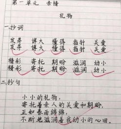  学生作业字迹走红网络,老师直称佩服,网友这是机打的吗