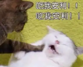  暴力炒菜哥走红看一遍笑一遍,隔着屏幕都感到锅的绝望...