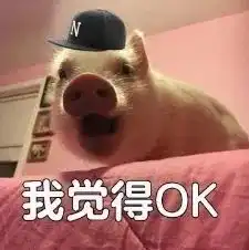  松山湖青春游园会,解开性的奥秘