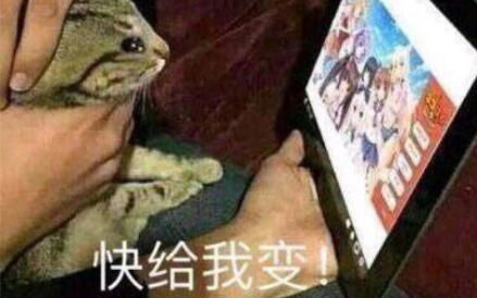  真香y7000p拆机视频步骤及细节1
