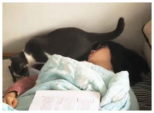  看这位小姐姐的表情,就知道猫放屁有多臭了,硬生生给熏醒了