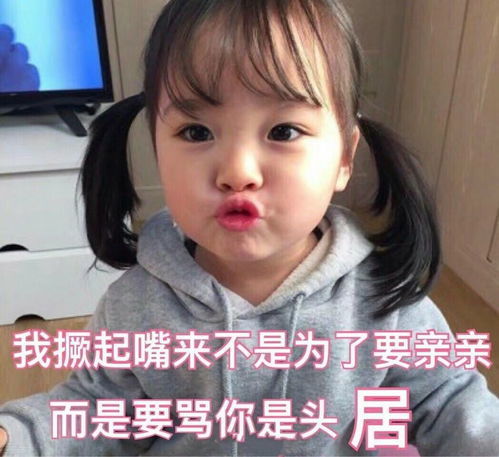  沙雕表情所以爱都会消失的对不对