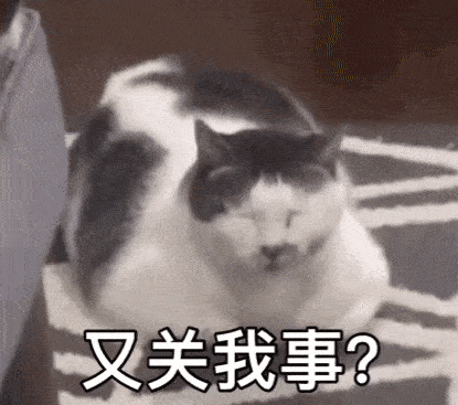  抖音表情包动图