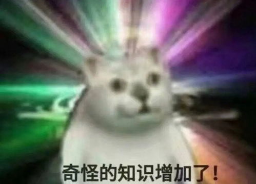  刚才看到有个人玩了三小时斗地主,我想说我玩了...