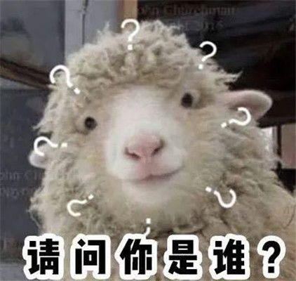  一生别离