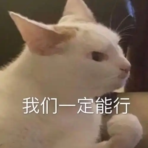 表情包破解版保姆