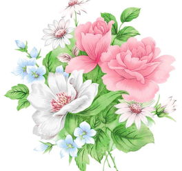  幸福密码