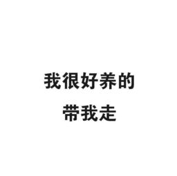  今天的表情包只有长得好看的人才能看到