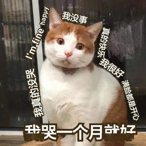 崩溃的表情包哭泣