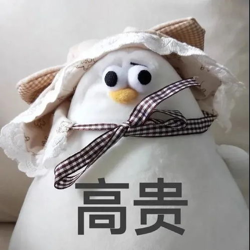  一些海鸥表情包