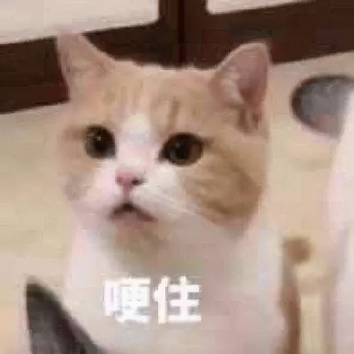  日薪80还要缴税,一线城市的实习生,真的能活下去吗