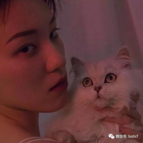  2018好看的微信头像