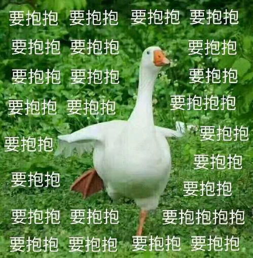  买巧克力误买到代可可脂巧克力,好气啊更新科普