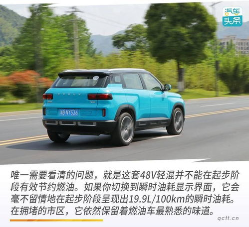  除了丑不丑,吉利icon没有争议