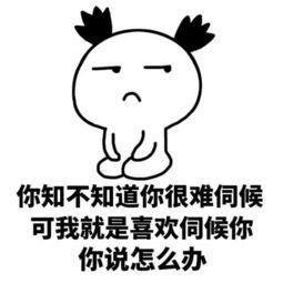  哄女朋友专用表情包你说你没女朋友先收藏着嘛,万一有了呢