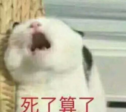  每日一笑我给它凑满,等下次开会给他们接着喝