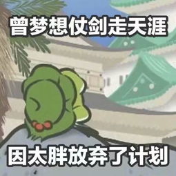  旅行的青蛙们,要记得回家野风的主页
