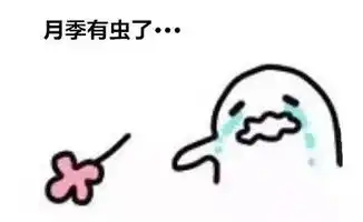  夏天刚过,月季上结满蜘蛛网,复习一下明年再战