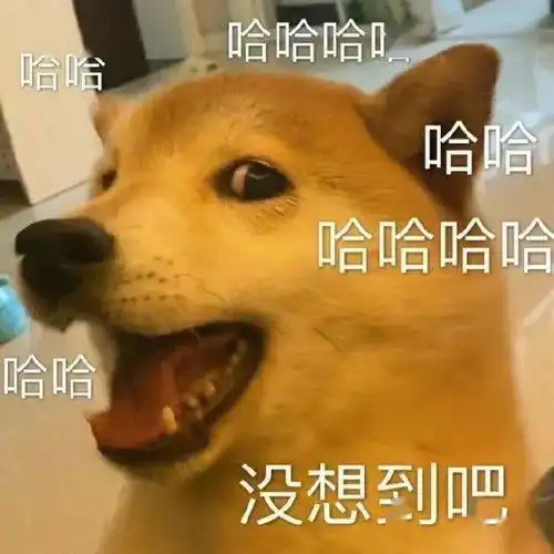  哈公园展示的冰灯里冻着一条鲫鱼网友沸腾了,没想到还有