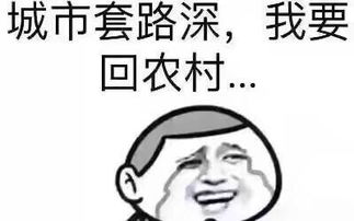  东风风光社区