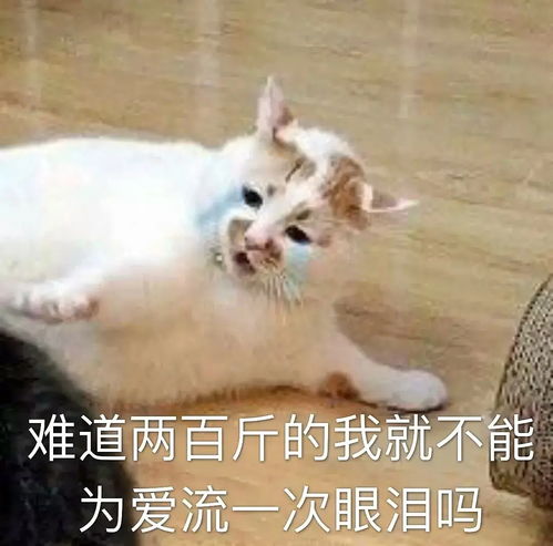 有和我一样在家潜心提高化妆水平的姐妹嘛
