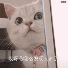  表情包丨今日份沙雕表情包