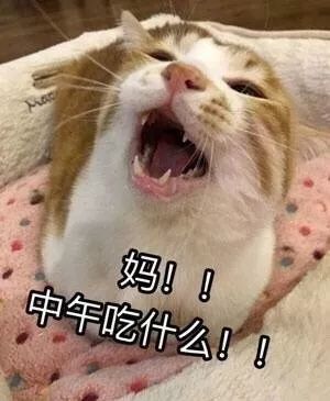  这就是国庆节放假时的你吗哈哈哈哈哈哈哈