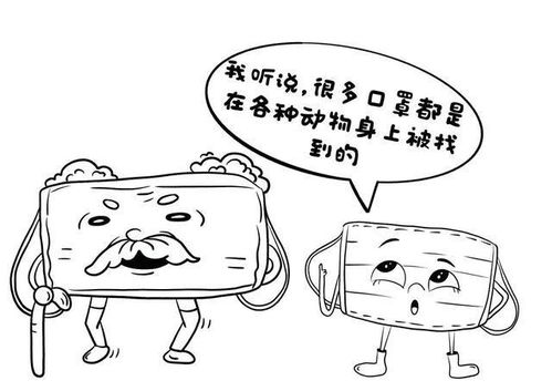  那些废弃口罩最终都去哪了