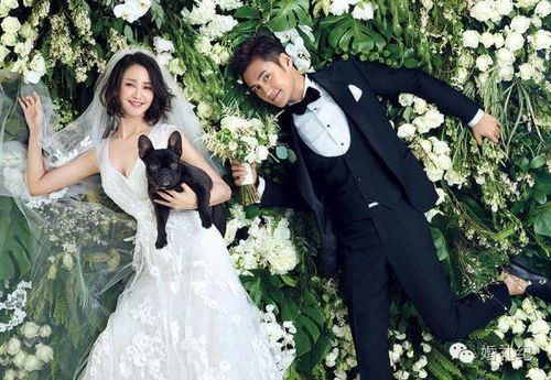  推荐丨喵汪参加婚礼,怎么才能不捣蛋