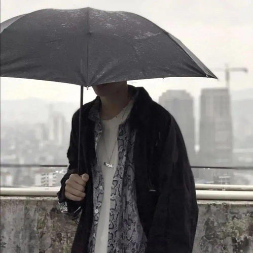  各类头像丨那些说我头像丑的人,是不是疯了