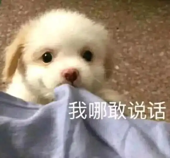  戴牙套到底有多疼