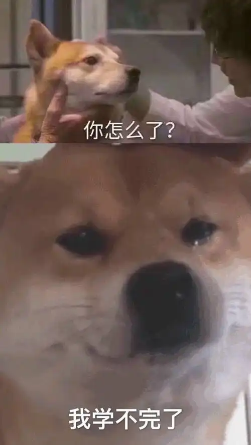  有没有你们看了三遍以上的小说谢谢大家感恩...