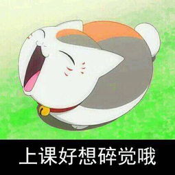  他叫神马什么动漫上的