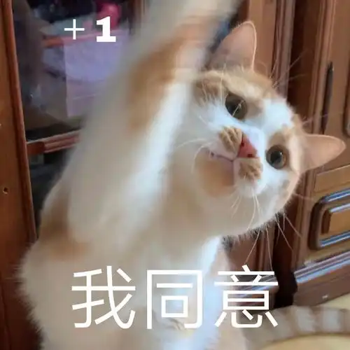  十万个为什么之猫咪爱喝马桶水
