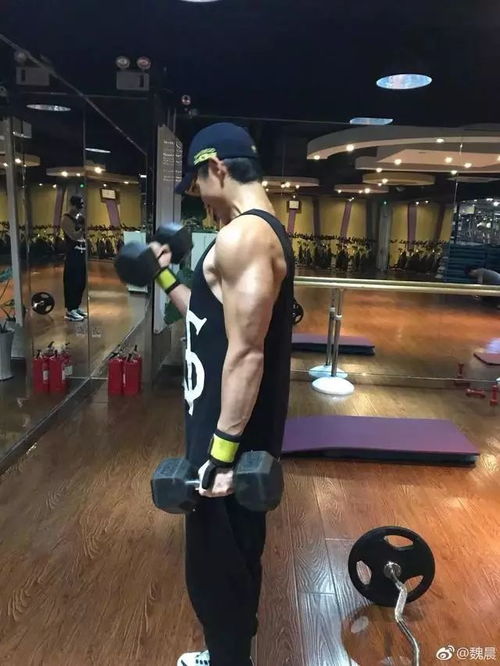  好久不见,娱乐圈的明星们都变肌肉男了