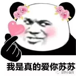  惠安小龙坎又搞事情了