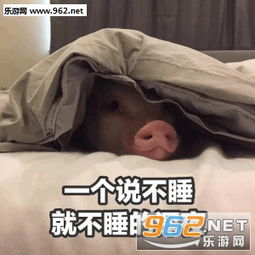  一张说胖就胖的脸表情包图片一个说不睡就不睡的深夜表情包下载乐游网游戏下载