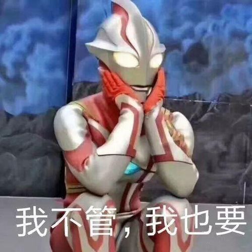  好看的照片子