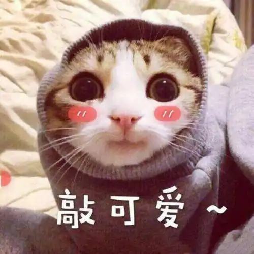  开心一刻见班花腰后有根绳,只拽了一下,结果