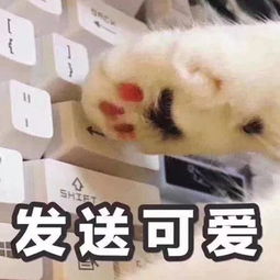  biubiubiu小暖的小温暖,请注意查收吖
