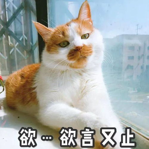  夏天不穿雪纺,白过了