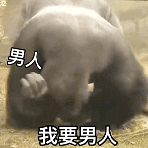 小饼干表情包动态图兵马