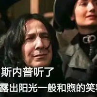  斯内普表情包