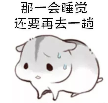  这到底是个什么神奇仪式哈哈哈哈