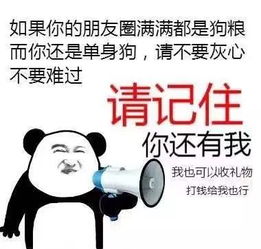 蚂蚁拍拍提醒今日七夕,单身狗请点进来撒狗粮的请出去