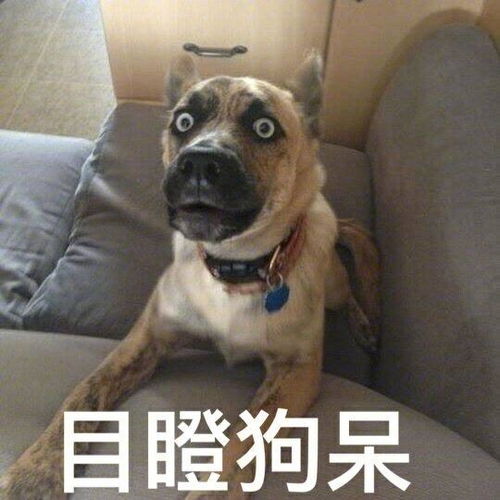  最搞笑闺蜜陪女子去相亲