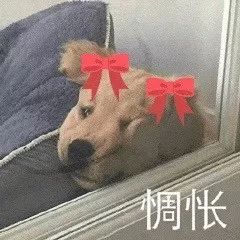  表情包别的小朋友都有圣诞礼物,我的呢