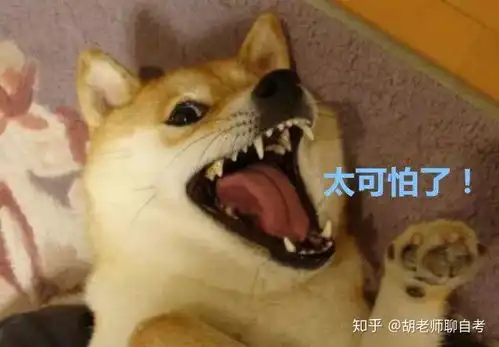 嘴巴嘟嘟表情包永辉