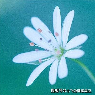  非常迷人的三个生肖女,年龄增加魅力不减,越老越有女人味